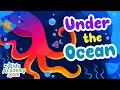 Download Lagu Under the Ocean. All about the Ocean for Kids - Kids Academy