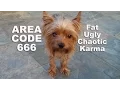 Area Code 666 Fat Ugly Chaotic Karma