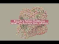 LIVENODING Procedural Weight Noise and Geometry Nodes Instancing