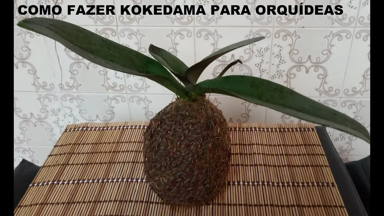 COMO FAZER KOKEDAMA PARA SUAS ORQUÍDEAS SUPER FÁCIL!