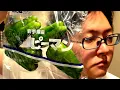 Download Lagu Tiktokでヤバいピーマン料理がバズってたんで検証します