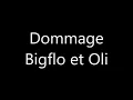 Bigflo & Oli -Dommage parole lyrics