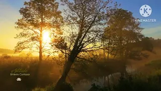 طوني حنا بين الرمل و بين المي 