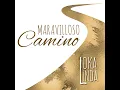 Maravilloso Camino