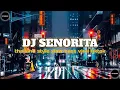 Download Lagu DJ SENORITA THAILAND STYLE X SLOW BASS VIRAL TIKTOK