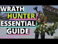 Wrath Hunter Essential Guide How to Hunter Wotlk Hunter Primer WoW Classic