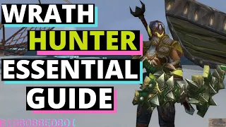Wrath Hunter Essential Guide How to Hunter Wotlk Hunter Primer WoW Classic