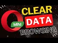 How to Clear Data on Opera Mini Browser