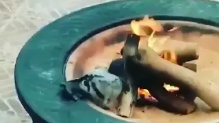 اغنيه ليالي تمر عليه كل ليله مانام 