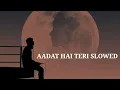 Aadat hai teri ya tera nasha hai #slowed #reverb