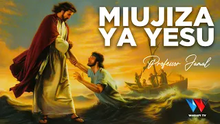 The Story Book Ukweli Wa Maajabu Ya Miujiza Ya Yesu All Jesus Miracles In Swahili 