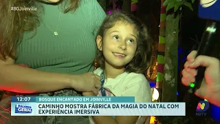 Nova atração de Natal em Joinville encanta com percurso imersivo no Bosque Encantado