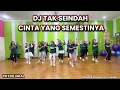 Download Lagu DJ TAK SEINDAH CINTA YANG SEMESTINYA || TIKTOK VIRAL || SENAM KREASI @sanggarsenamatya8917