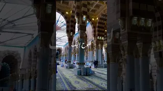 في زمن التيه نشتاق قلبه الرحيم ﷺ 