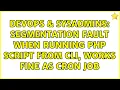 DevOps SysAdmins Segmentation fault when running PHP script from CLI works fine as cron job