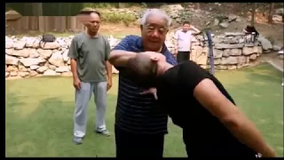 chinese kung fu taijiquan a 80 year old uncle has brought down 180 pounds of young people men 