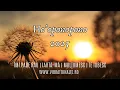 Download Lagu Ho’oponopono - Vindecare profunda 2025 – Imi pare rau - Iarta-ma - Multumesc - Te Iubesc