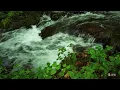 【RELAX WORLD / 4K 23min. Calm Piano Music】Beautiful Japan, Fresh green Shojinzawa, Meditation, Sleep