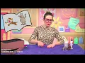 Shoe Box Habitat-How To