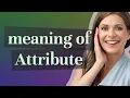 Attribute meaning of Attribute