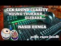 Download Lagu CEK SOUND CLARITY 🔊 NDUNG THUKKKK.. GLERRR...🔊 cocok buat cek sound hajatan