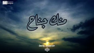 محمد وردي الطير المهاجر 