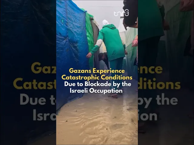 ⁣Gazans experience catastrophic conditions. Israel has demolished over 61% of the houses in Gaza.