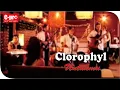 Clorophyl - Untukmu | Repackaged Album 2006 ( Official Musik Video )