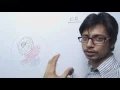Endoplasmic Reticulum Structure And Function