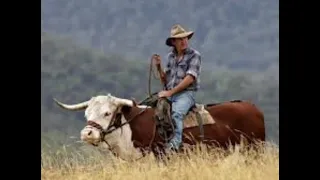 صعوبات تهيئة الإقليم في أوقيانوسيا المعيقات الطبيعية و البشرية 