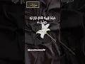 Download Lagu Surah Yaseen Ayat 71 #shorts #quran #mukhtar Al haaj