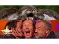 Download Benedict Cumberbatch, Johnny Depp and Graham Take Otter Photos - The Graham Norton Show mp4 3gp mp3 videos - waplic