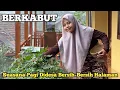 Download Lagu KEHODUPANKU DIDESA‼️SUASANA PAGI DIDESA BERKABUT BERSIH-BERSIH HALAMAN RUMAH, KEDATANGAN TAMU