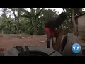 Ugandan Baseball Player s Dream Becomes a Social Media Sensation