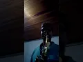 Solo um amigo entre os lirios