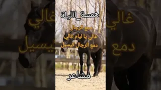 دمع الرجال غالي         قناة مشاعر  دندنها