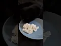 Cute cat and squirty Cream