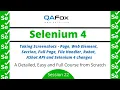 Taking Screenshots - Page Element Section Full FileHandler Robot AShot Selenium 4