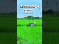 Download Lagu Keroncong syahdu yt JAWA MUSIC GAYENG #keroncong  #keroncongindonesia