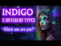 Download Lagu 3 Types of Indigo Children “Oraphim Angels”  | Elder Race Starseed Alien Hybrids