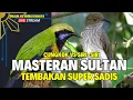 Download Lagu MASTERAN SUPER DASYAT - MASTERAN ROLL TEMBAK BESETAN - JINGJING PETUAK Kombinasi CUNGKOK KUNTILANAK