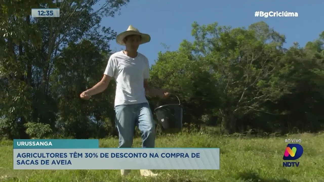 Em Urussanga, agricultores têm subsídio de 30% para a compra de sementes de aveia