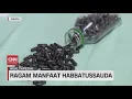 Ragam Manfaat Habbatussauda