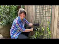How-to Install a Wall or Fence Trellis