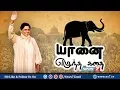 Download Lagu யானை எழுந்த கதை | Documentary on Mayawati | News7 Tamil