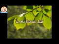 Download Lagu Ilaku Deepamu Neeve Swami Swami Song by Swami Sundara Chaitanyananda[Nee Charita Padukona 8(16)]