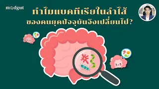 ทำไมการเปลี่ยนแปลงของจุลินทรีย์ในลำไส้ถึงเกี่ยวข้องกับโรคเรื้อรังในปัจจุบัน?