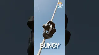 Bungy
