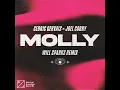 MOLLY (Will Sparks Remix) - Cedric Gervais & Joel Corry