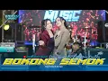 Download Lagu BOKONG SEMOK - VINA CANTIKA FT DESSY RAFAELLA || KONTEN ERWEKA MUSIC || RWK.IND STORE FYP TIKTOK